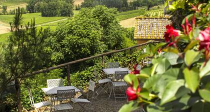 Hotel Torciano Vecchio Asilo