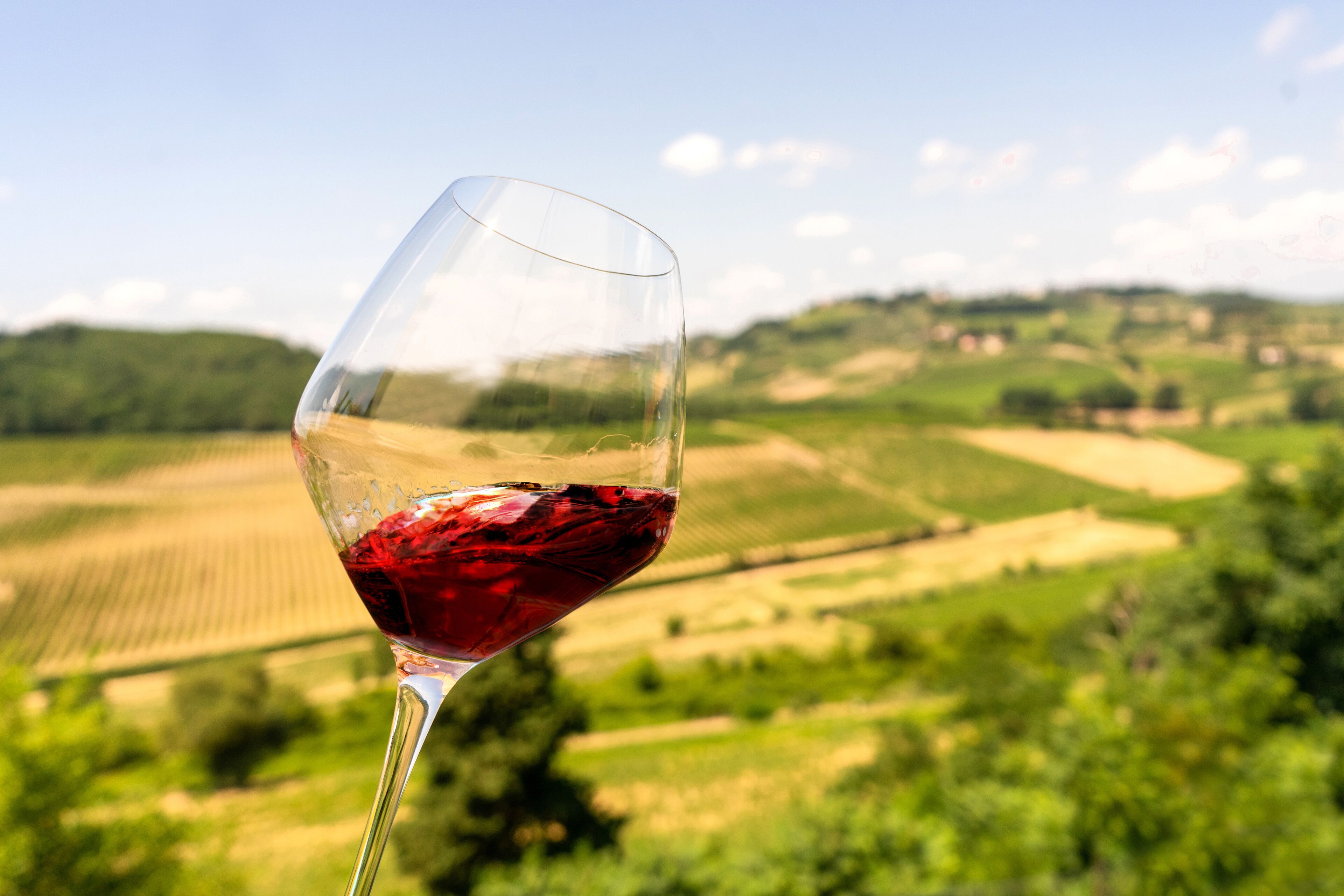 A wine glass with red liquid against a rural landscape backdrop.