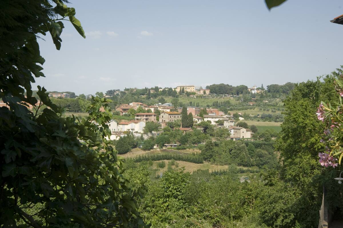 A hillside village with traditional buildings and lush greenery.