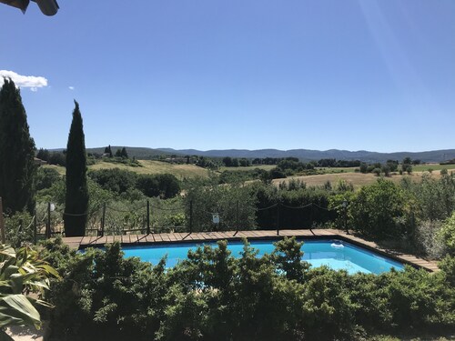 Il Pettirosso di Siena