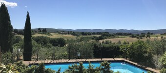 Il Pettirosso di Siena