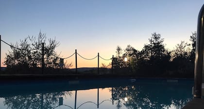 Il Pettirosso di Siena