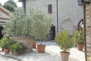 Un cortile con piante in vaso e pavimento in pietra.