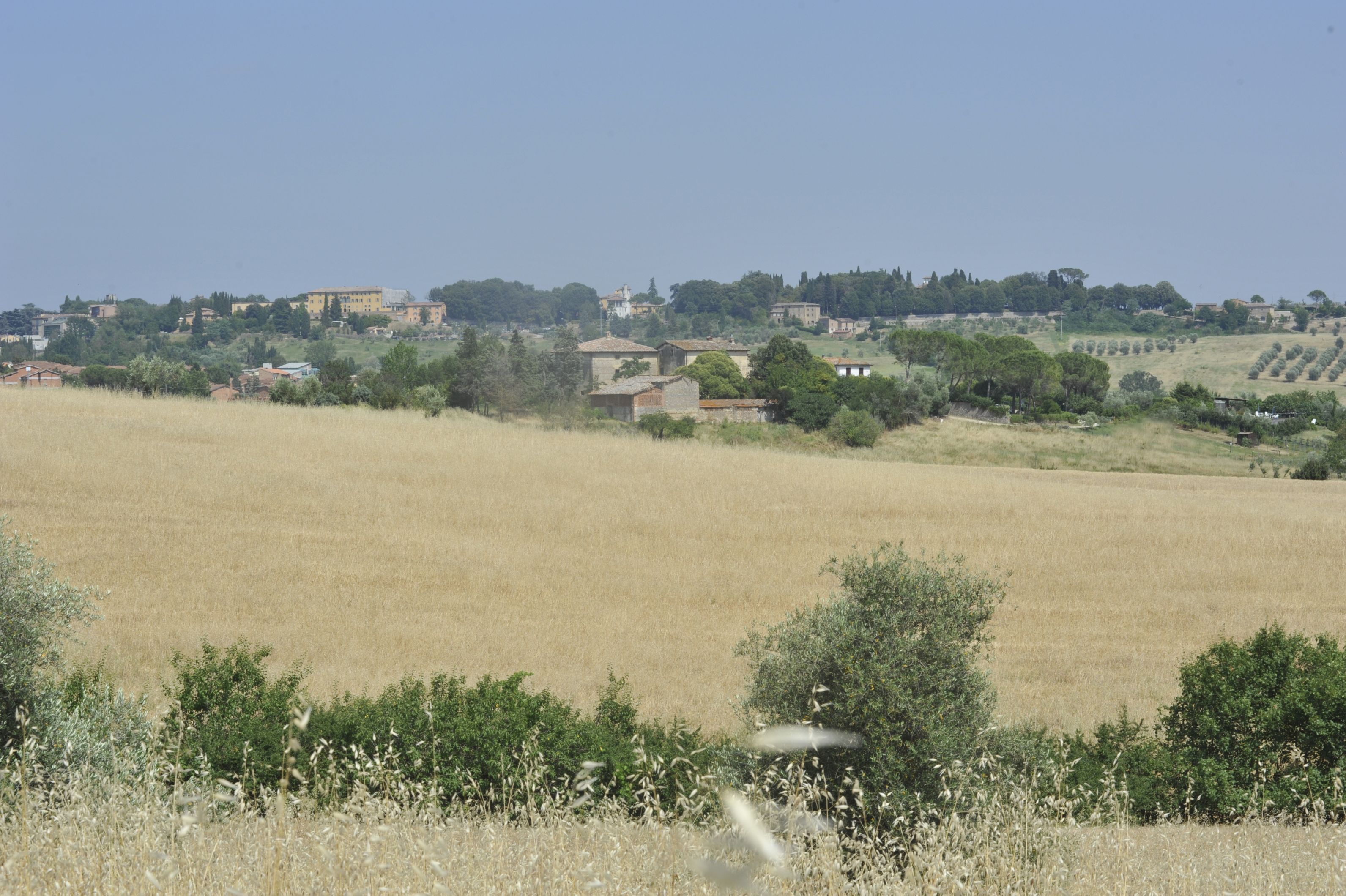 Foto - B&B Il Pettirosso di Siena