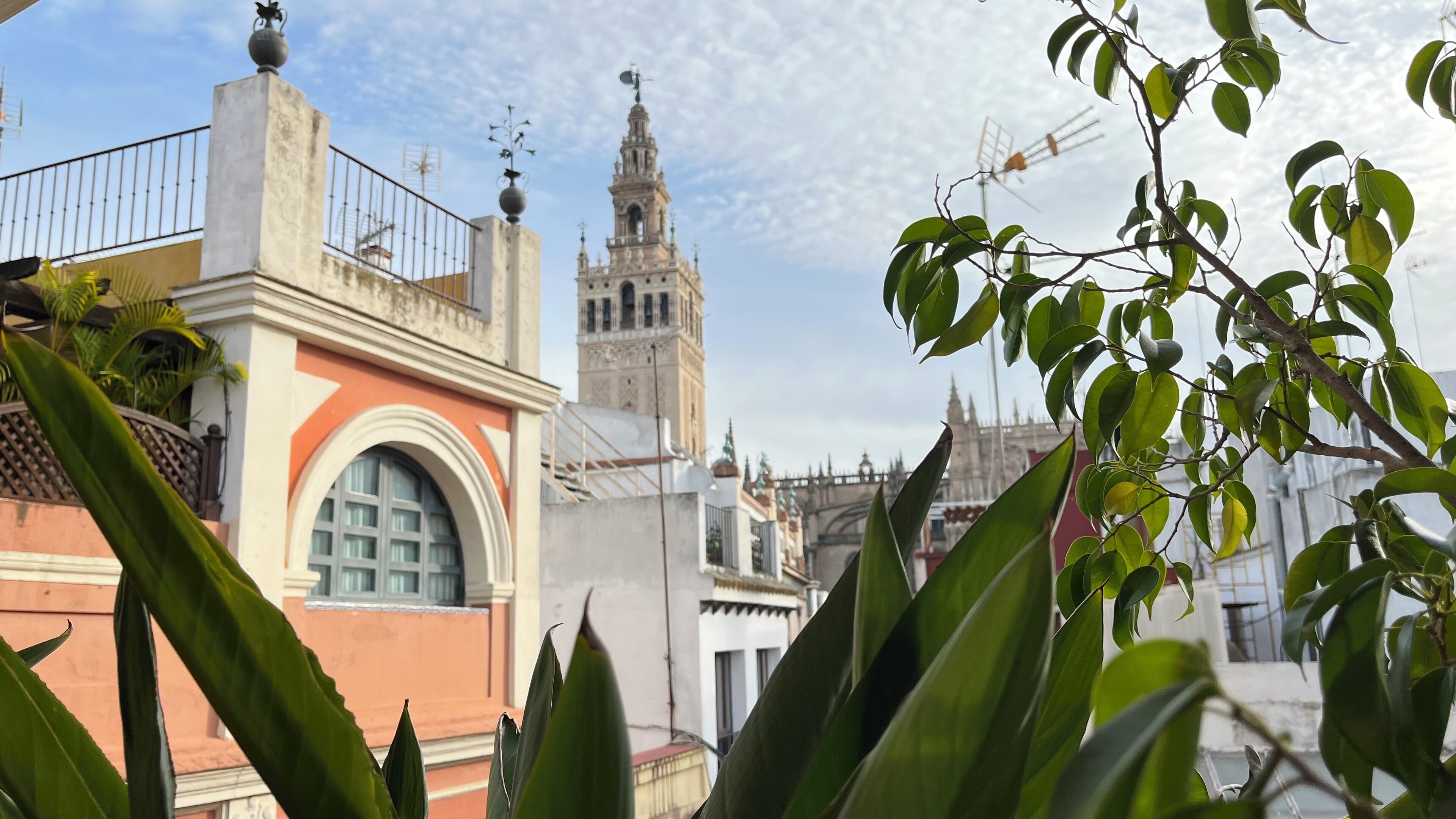 Foto - U-Sense Sevilla Centro