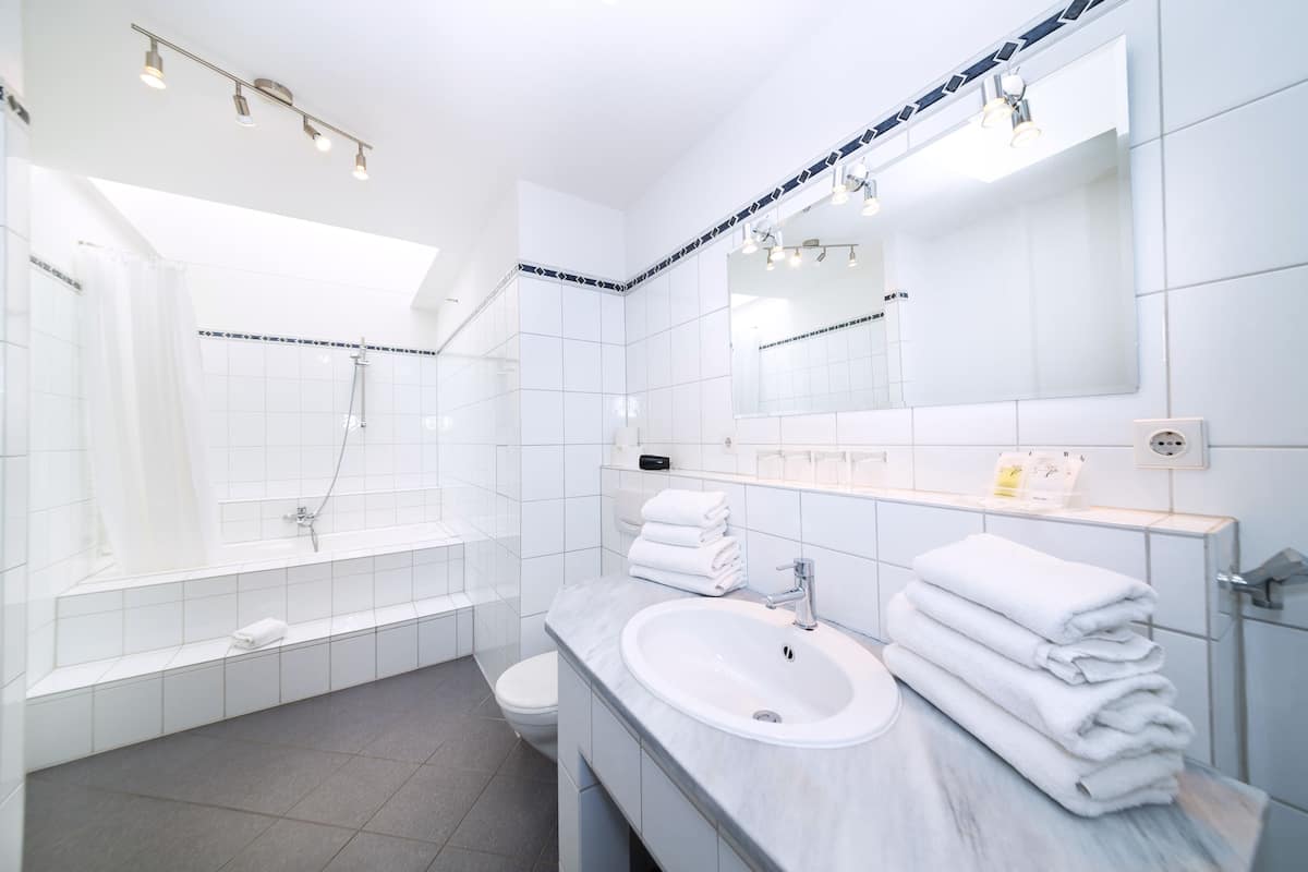 penthouse with kitchenette and roof terrace | bathroom | shower, free toiletries, hair dryer, towels
