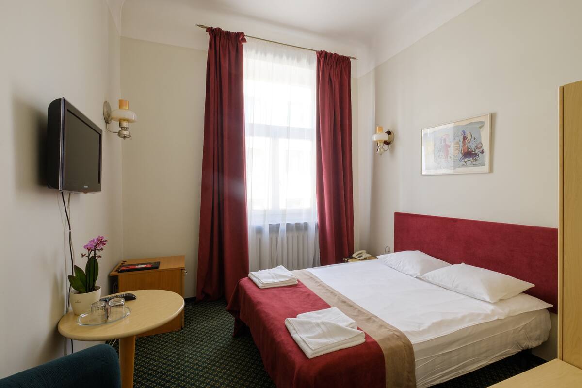 Una habitación de hotel con cama, escritorio con silla, televisión, una mesita con planta y ventana con cortinas.
