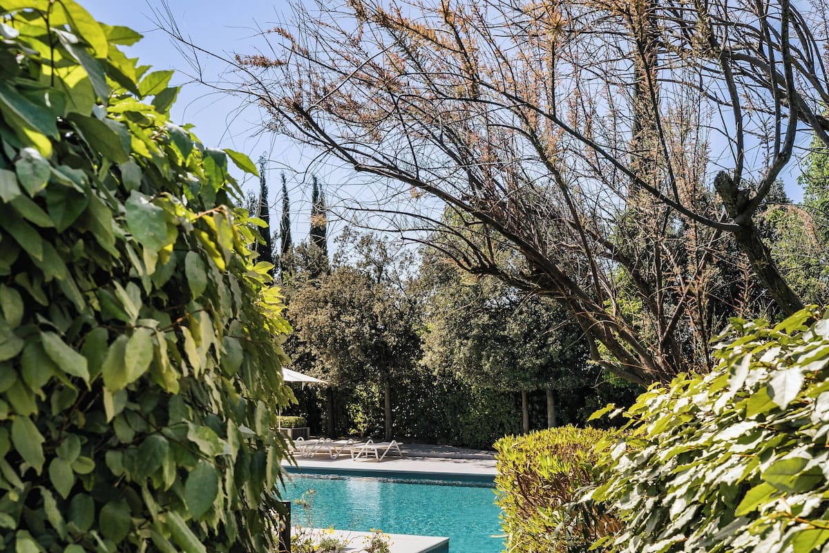 A paved pathway leading to a swimming pool surrounded by lush greenery.