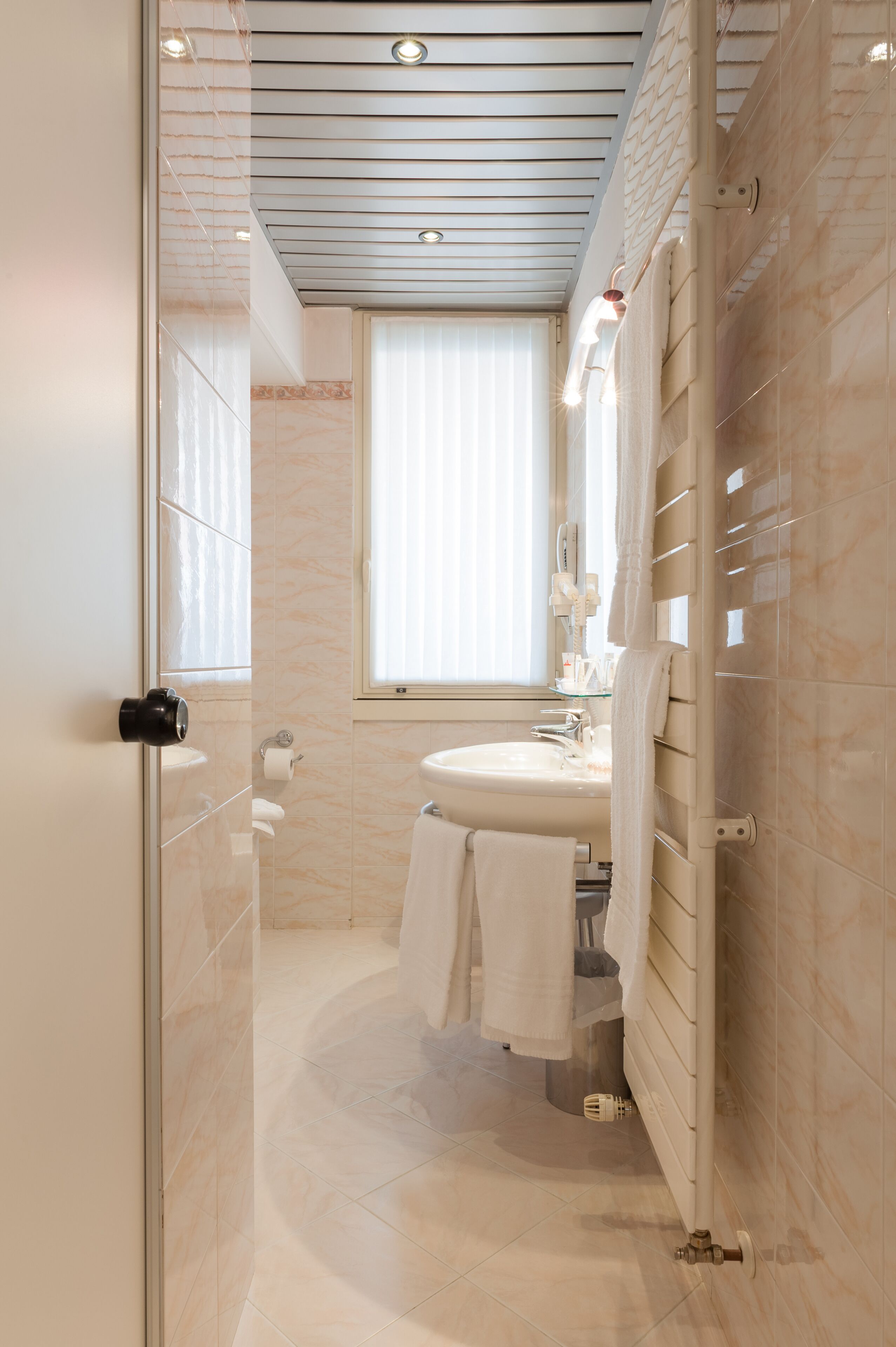premium studio suite, allergy friendly | bathroom | shower, rainfall showerhead, free toiletries, hair dryer