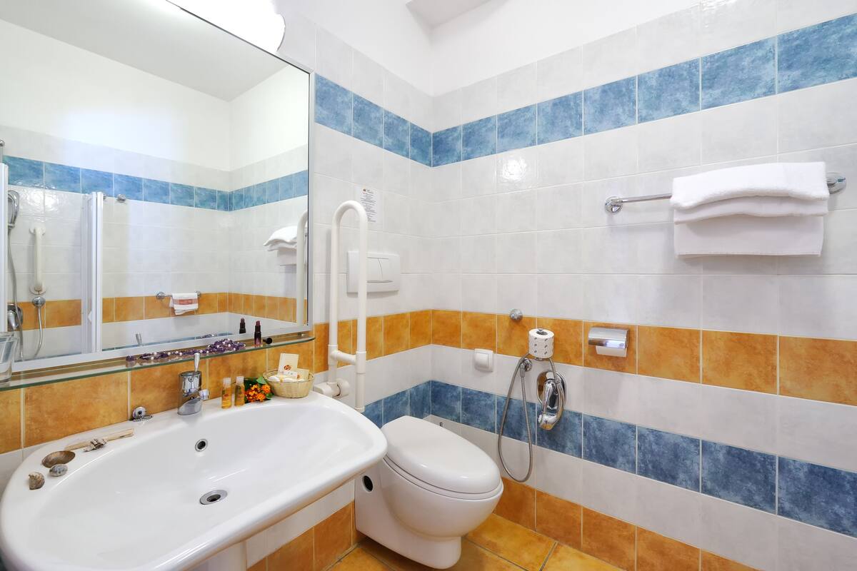 economy double room | bathroom amenities | free toiletries, hair dryer, bidet, towels