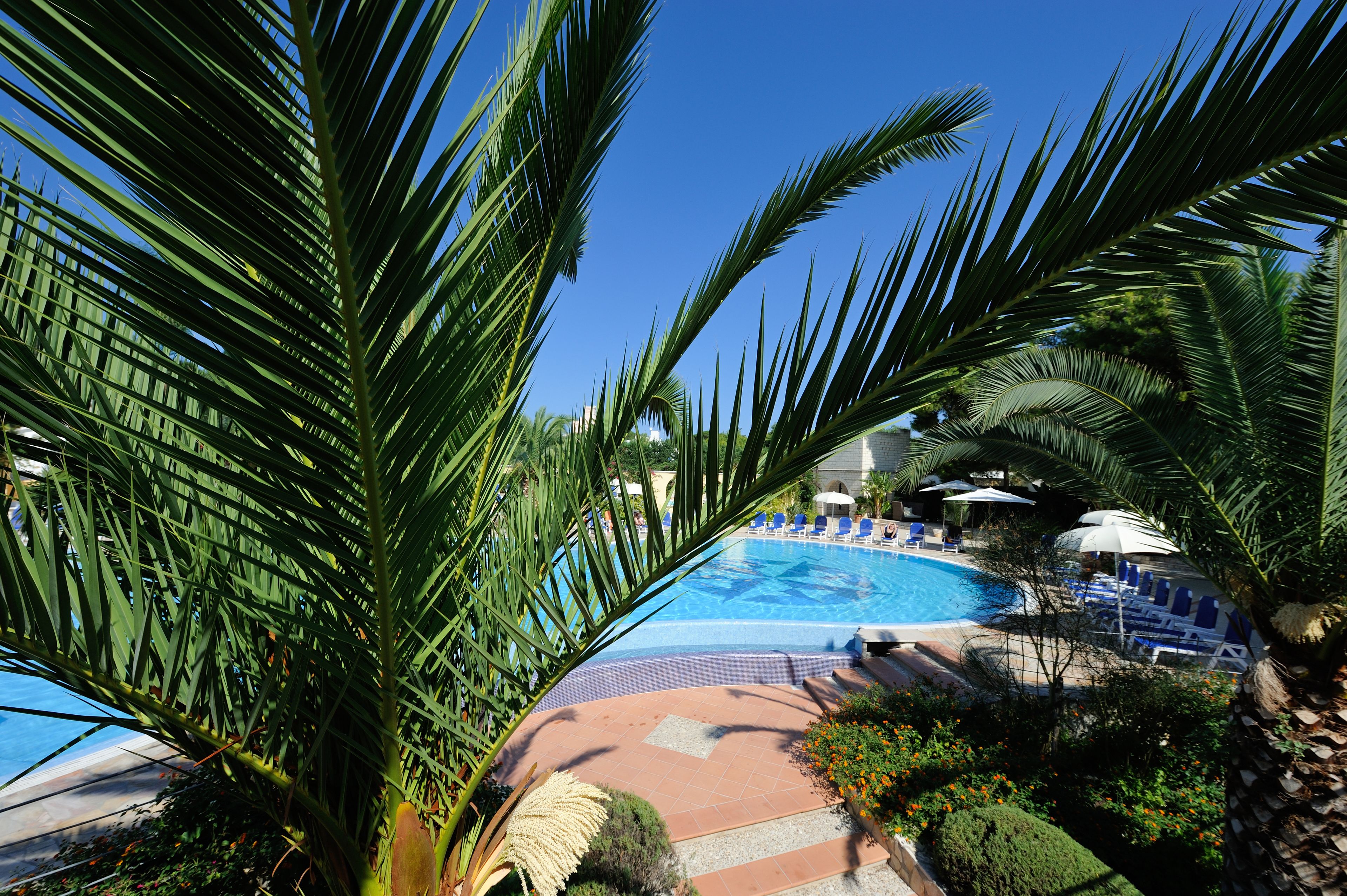 Un espace piscine agrémenté de palmiers, de chaises longues et de parasols.