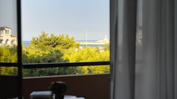 Vista desde la habitación