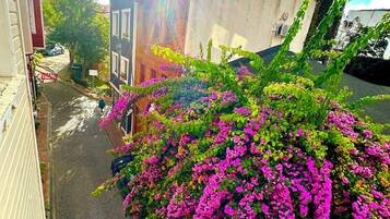 ์๋ฐ ์์ค ์ ๋ฉด