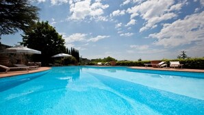 En klarblå pool med solstolar och parasoller, omgiven av träd och en klar himmel.