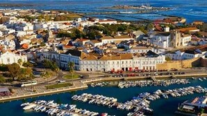 Eine Küstenstadt mit einem Yachthafen voller Boote, historischen Gebäuden und einer markanten Kirche.