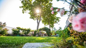 A garden with a large tree, a stone bench, and a pathway. - Nido degli Dei (Agerola)