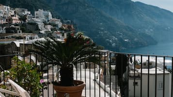 Habitación Deluxe con 1 cama matrimonial o 2 individuales | Terraza o patio