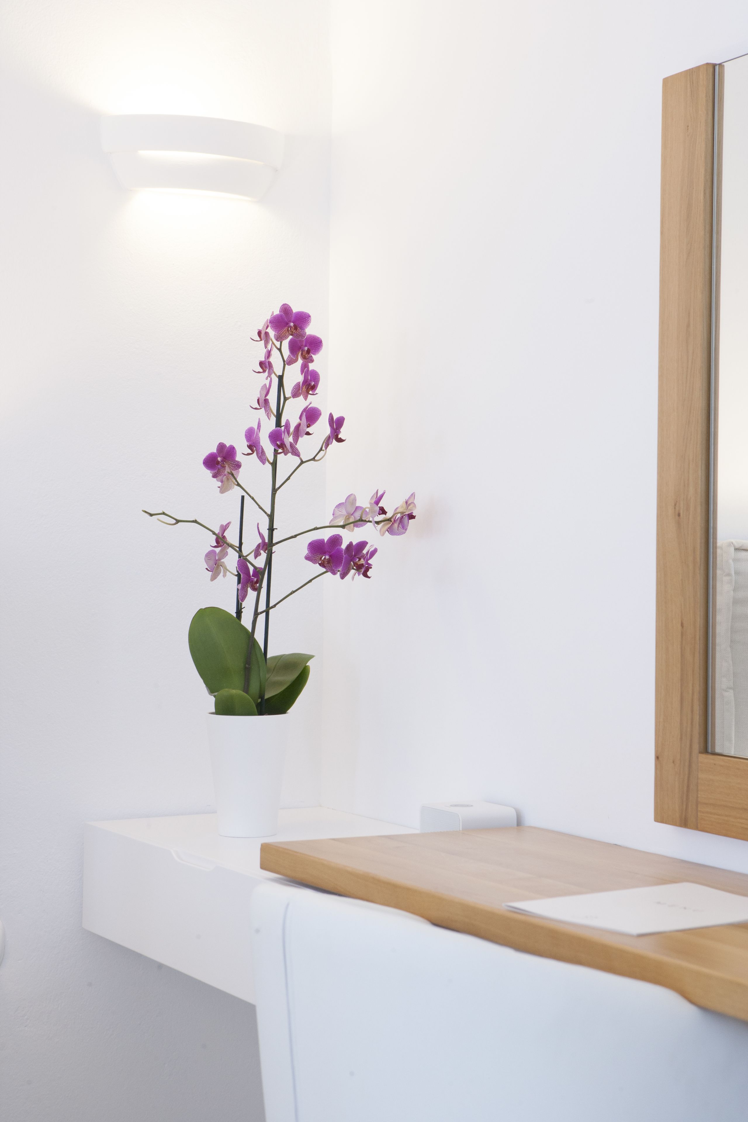 Photo - Anteliz Suites