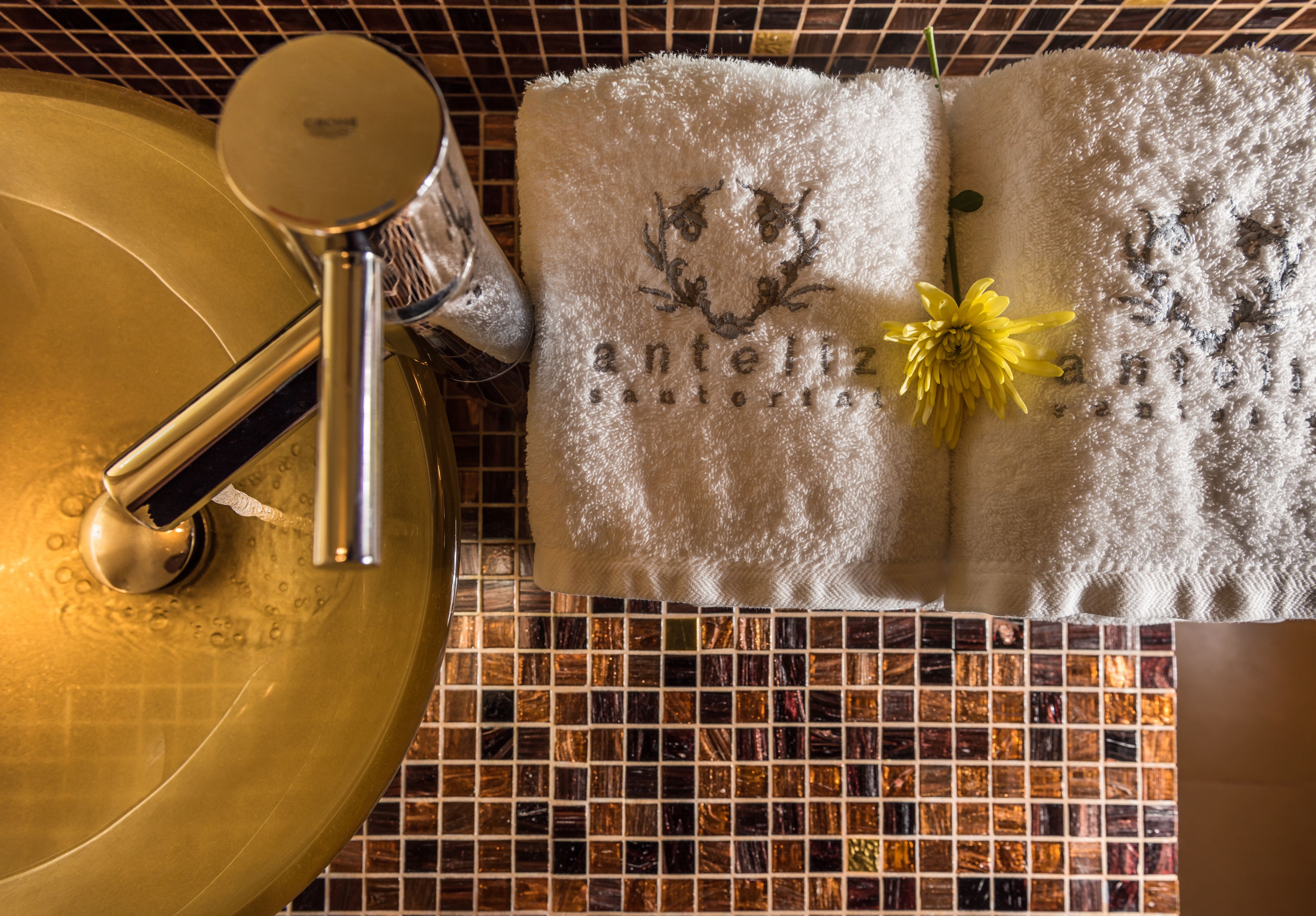 Foto - Anteliz Suites