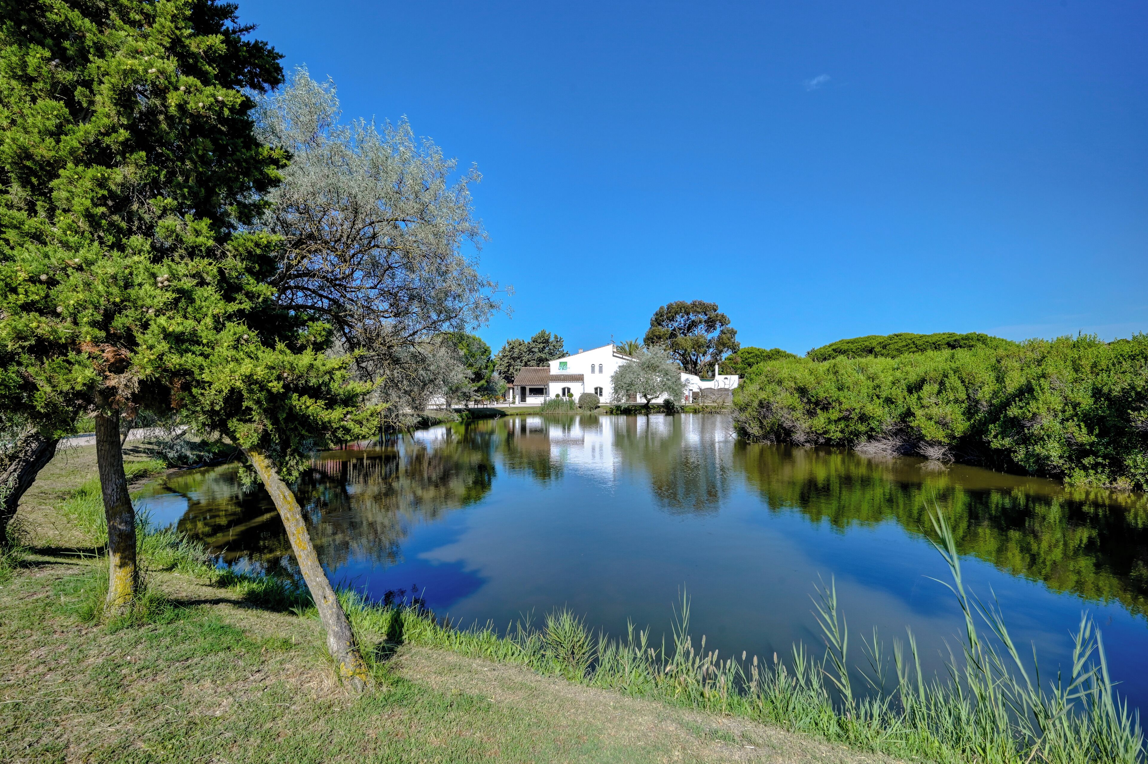 Un entorno tranquilo junto al lago con un edificio blanco, abundante vegetación y un cielo azul despejado.