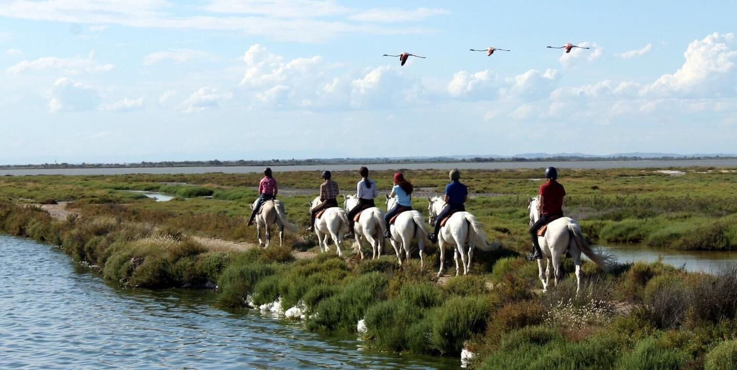 Een groep mensen rijdt op paarden langs een rivieroever.