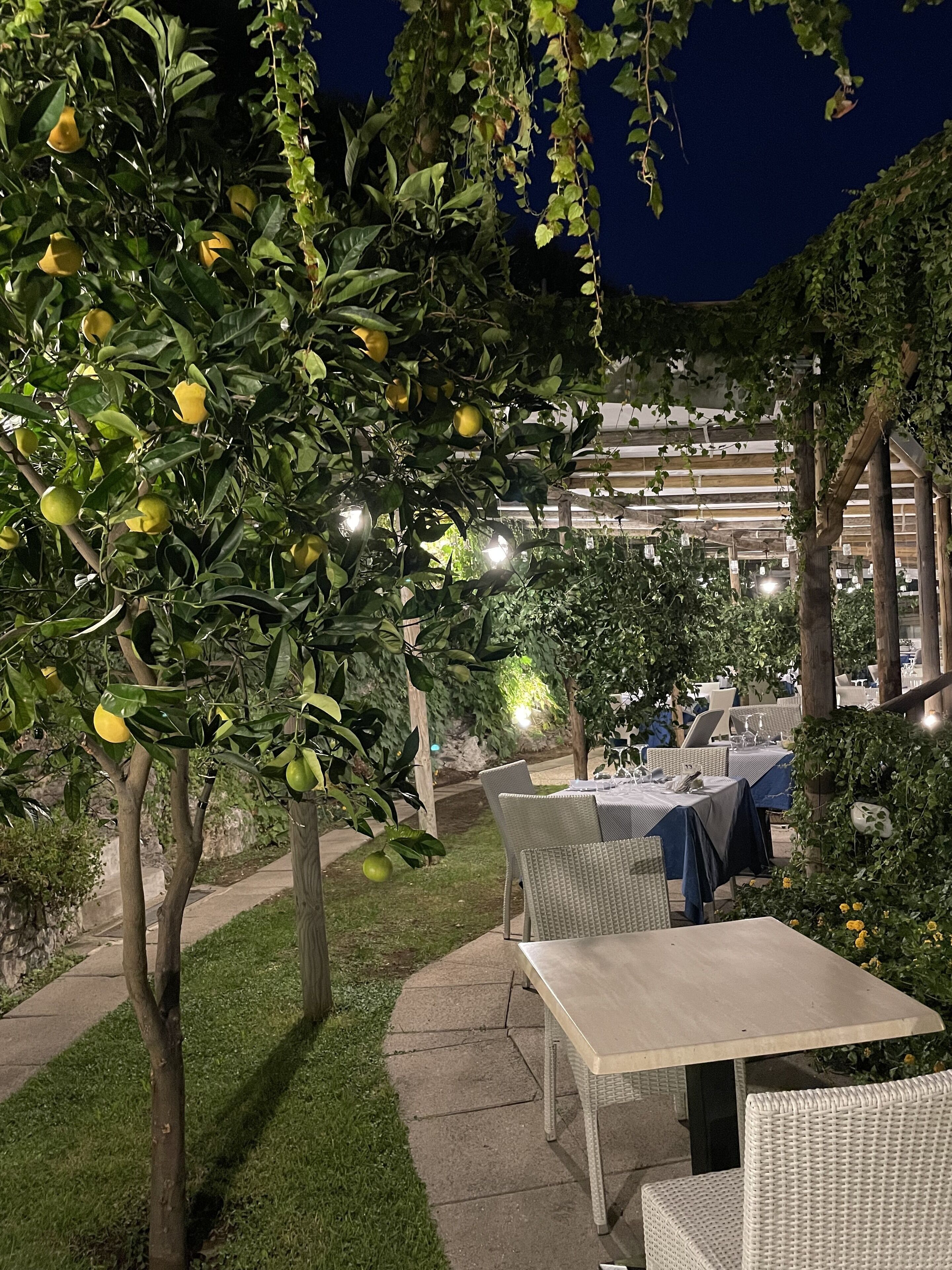 An outdoor dining area with tables and chairs, surrounded by greenery and a tree with lemons.