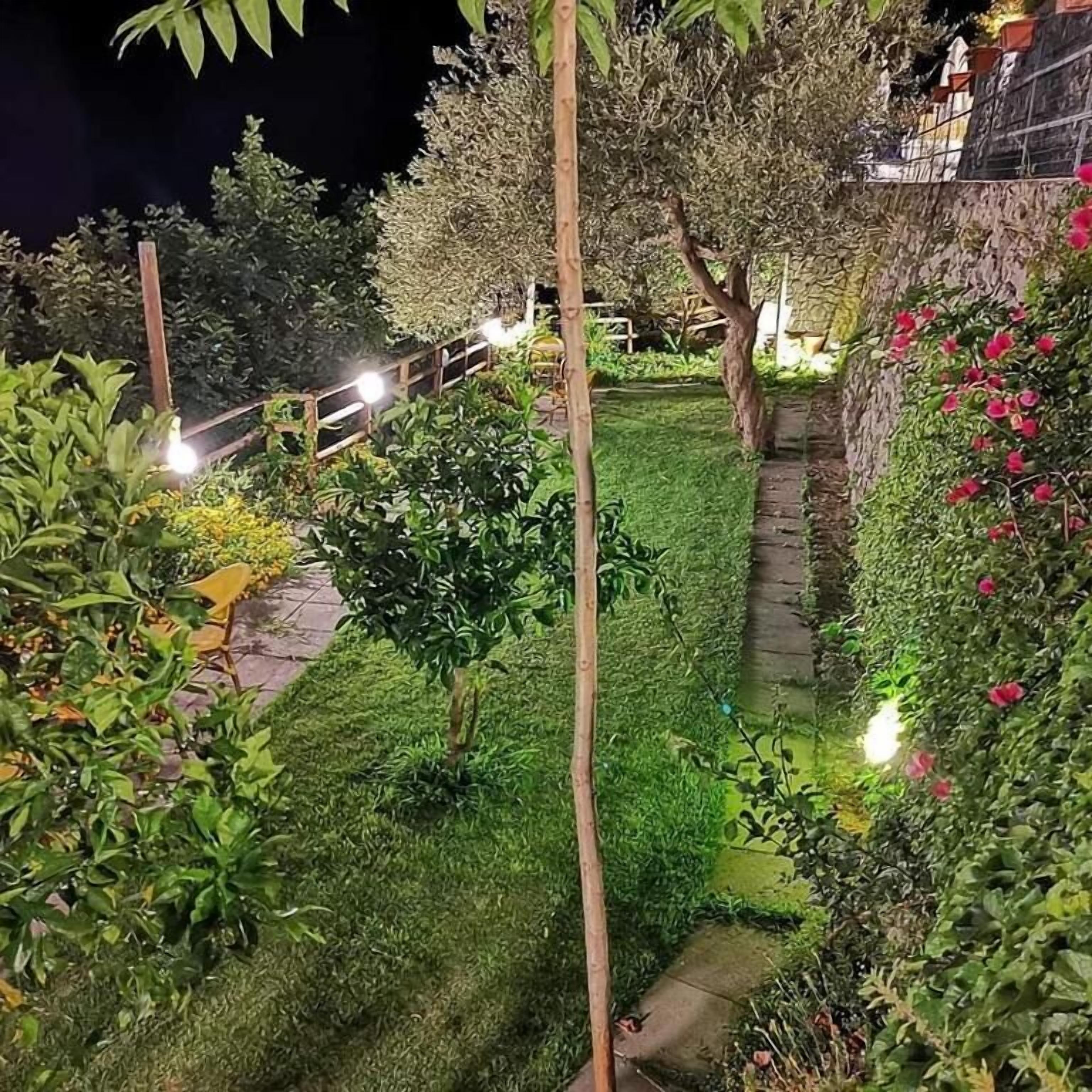 Ein gepflegter Garten mit verschiedenen Pflanzen und einem befestigten Weg.