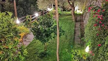 Ein gepflegter Garten mit verschiedenen Pflanzen und einem befestigten Weg.