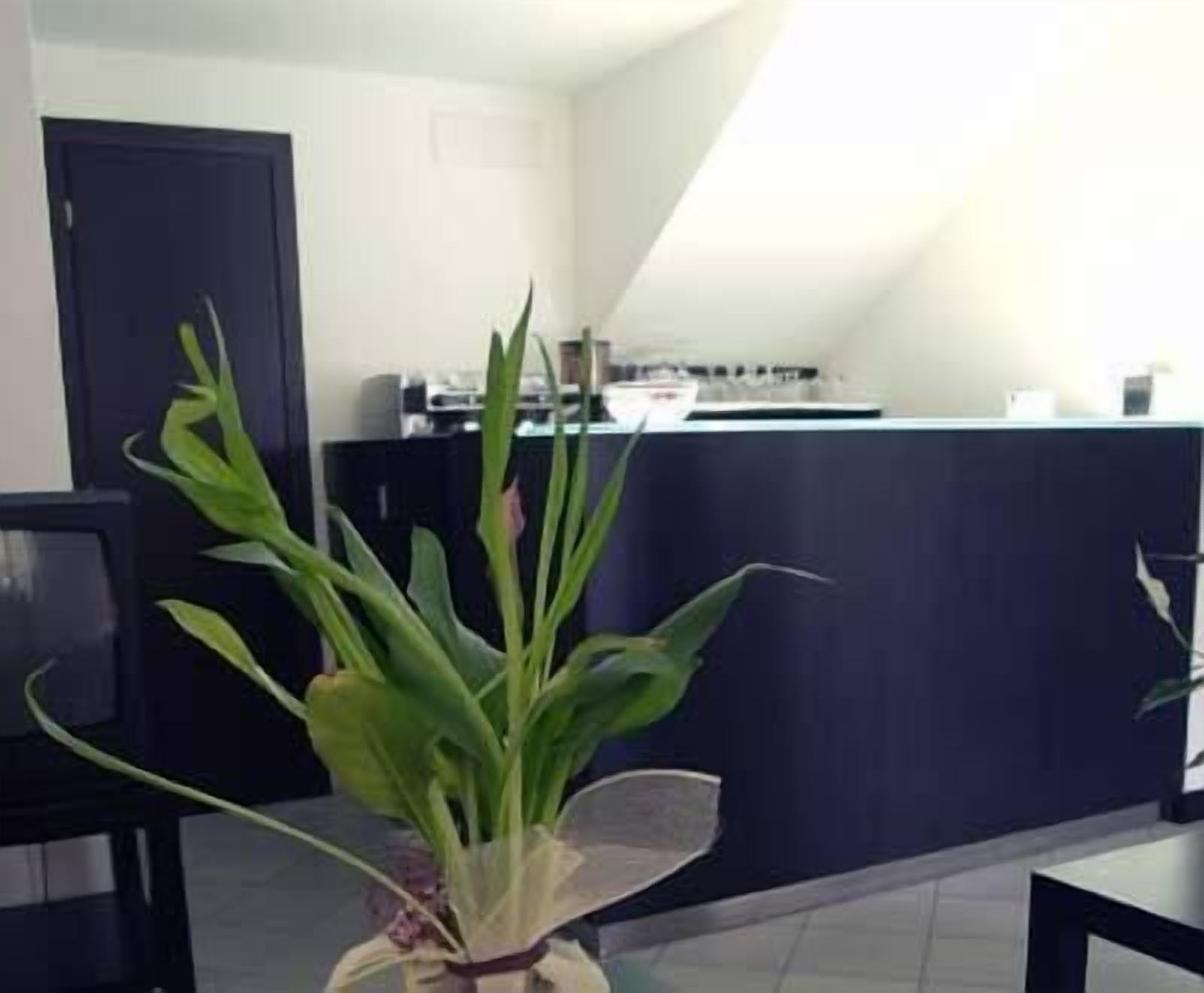 A modern kitchen with a dark countertop and a potted plant in the foreground.