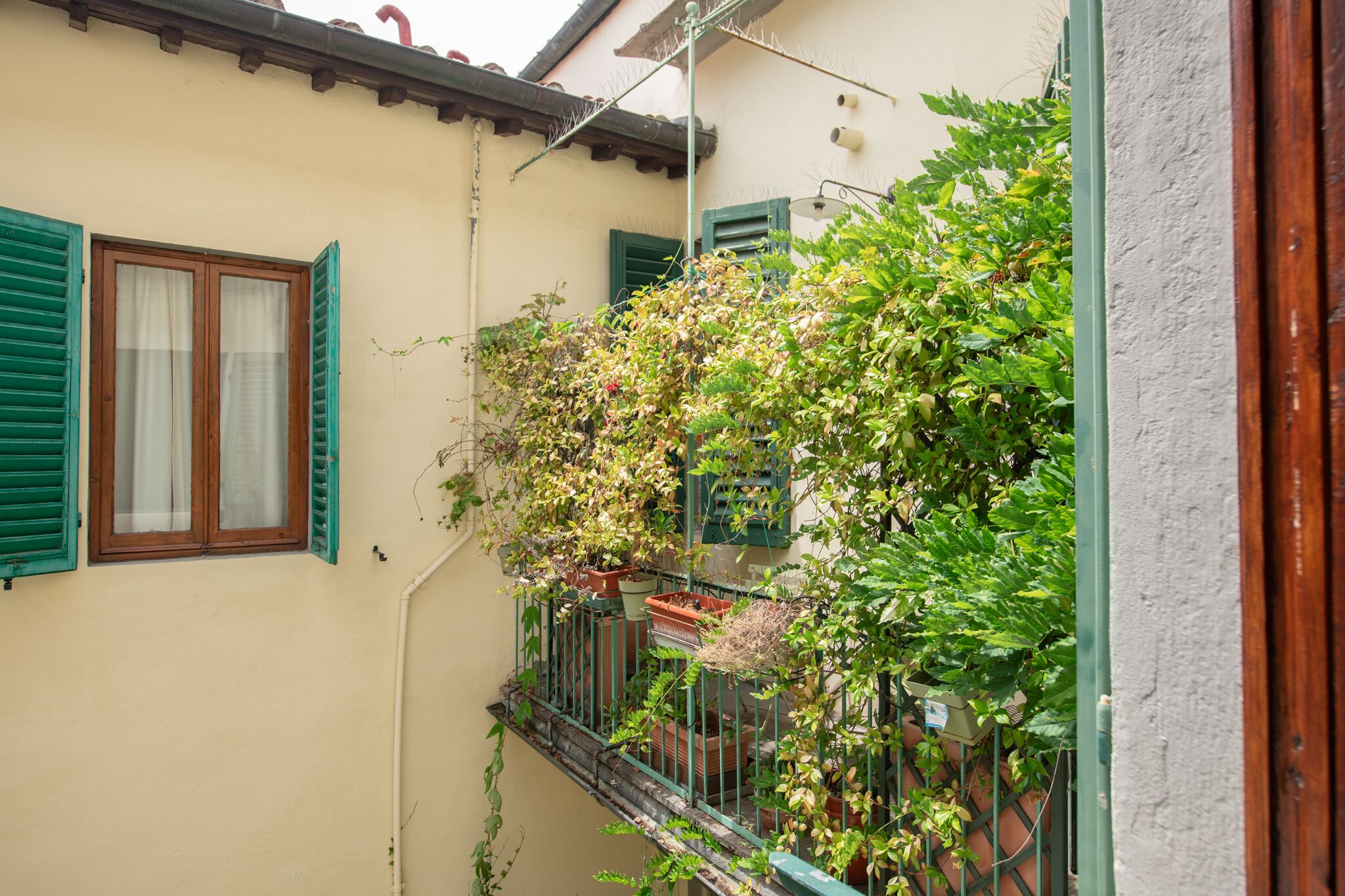 Foto - Casa Rovai Guest House