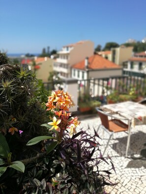 Vista desde la propiedad