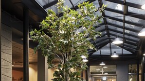 A modern indoor space with a central seating area featuring a round table and four chairs, surrounded by potted plants and a large tree. - Citybox Oslo (Oslo)