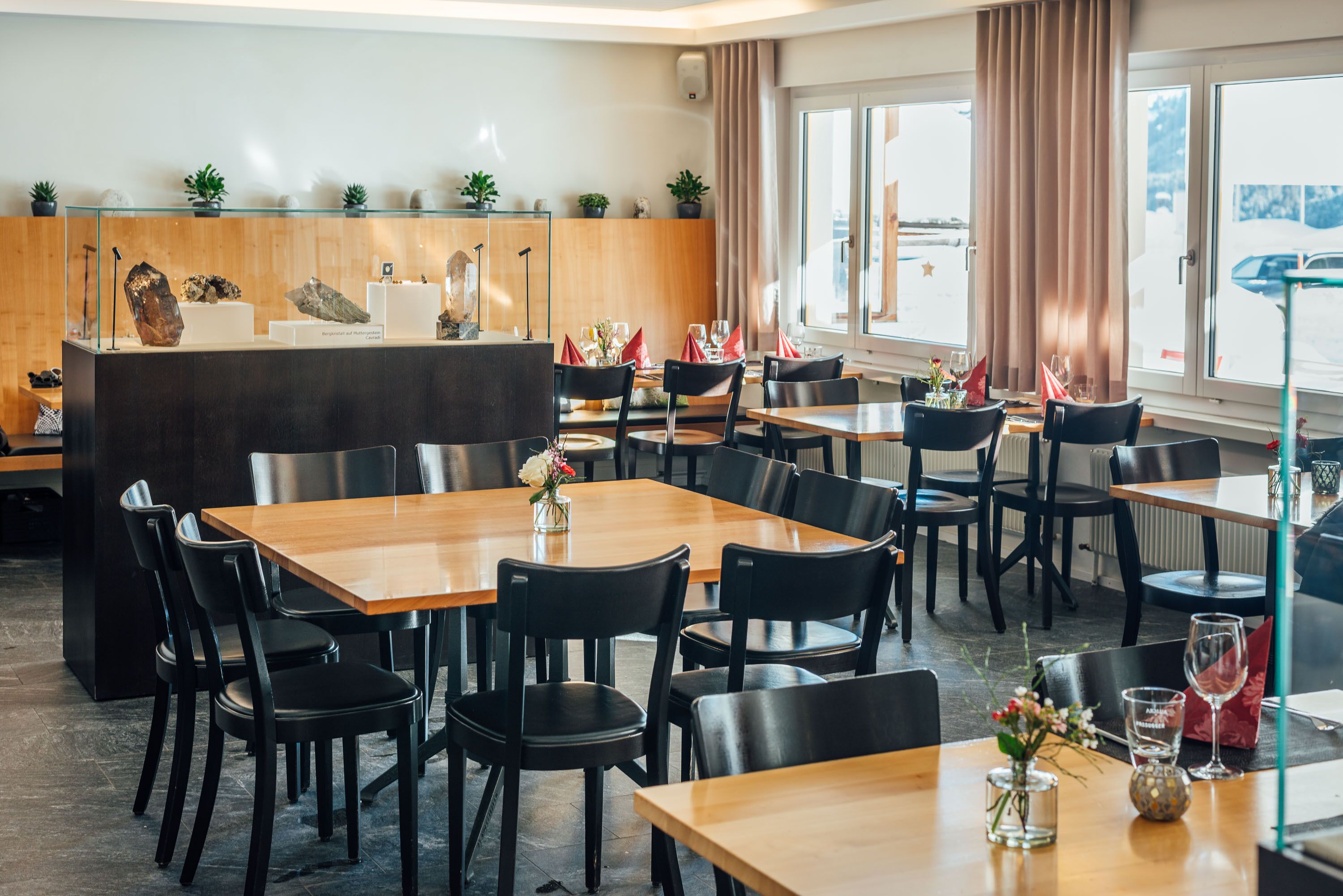 Un restaurante con mesas de madera y sillas negras, una exhibición de rocas y plantas en la pared, y grandes ventanales con cortinas.
