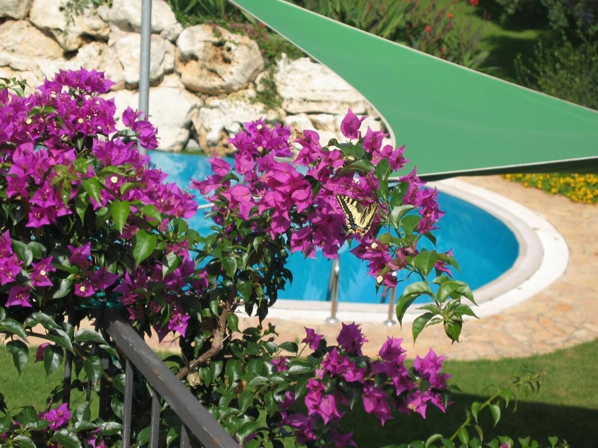 Una piscina rodeada de exuberante follaje y coloridas flores moradas.