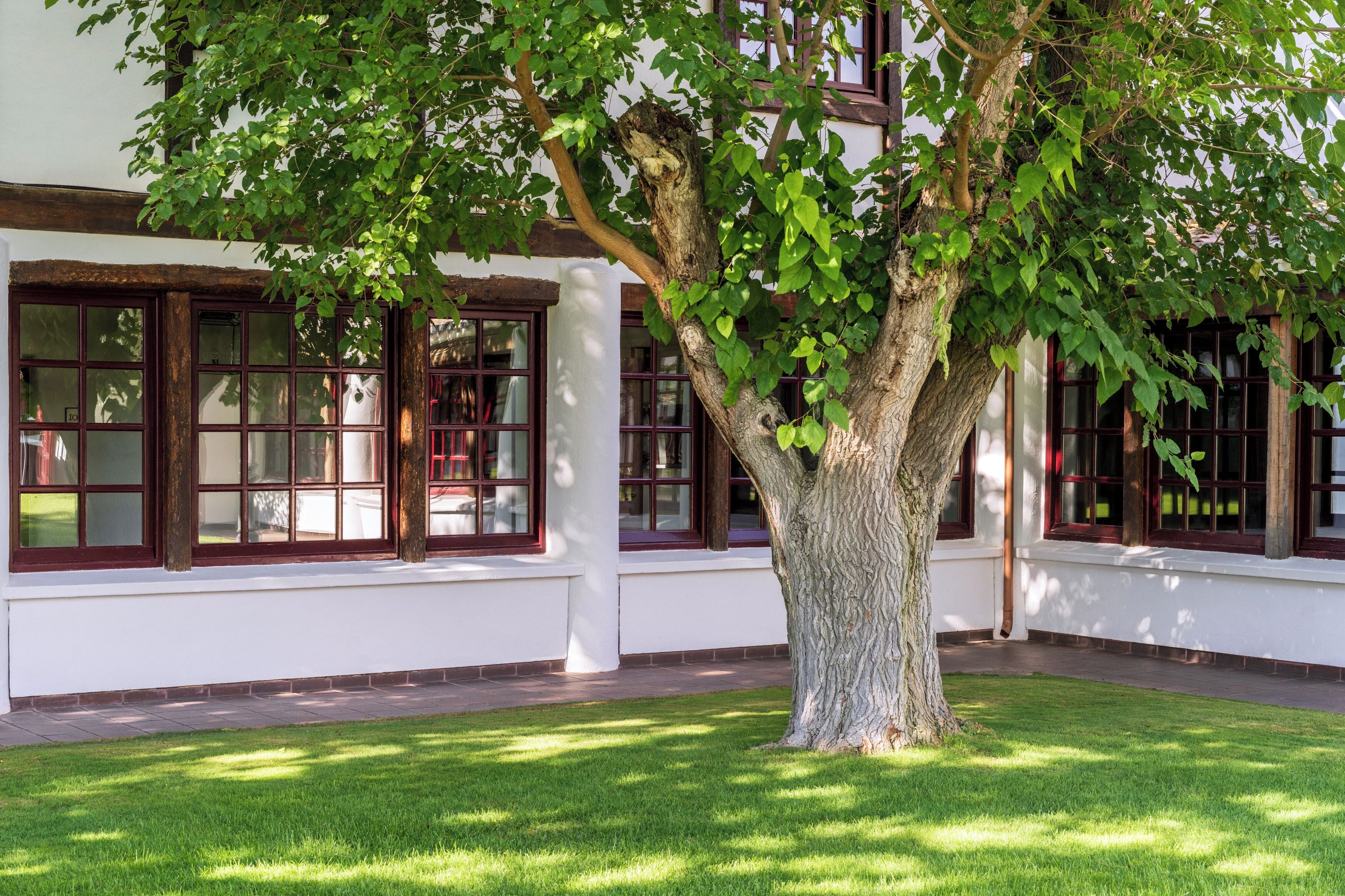 26-inch lcd tv with digital channels, tv