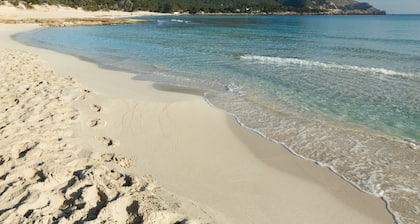 Prinsotel La Pineda Hotel