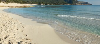 Prinsotel La Pineda Hotel