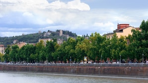 Vistes al riu amb un castell històric sobre una collada, una passejada arbrat i un pont amb cotxes estacionats.