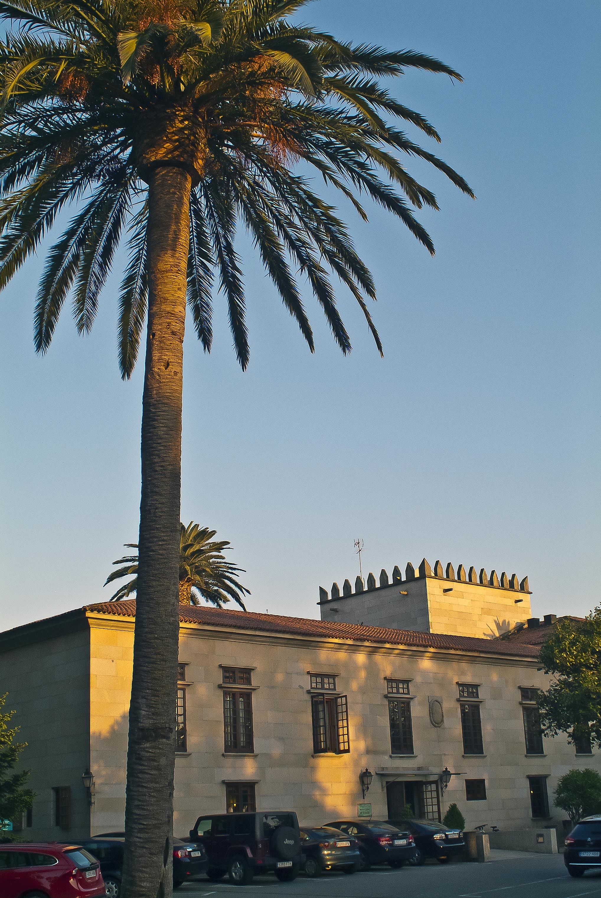 Un edificio de fachada de piedra, con múltiples ventanas y una palmera en primer plano.
