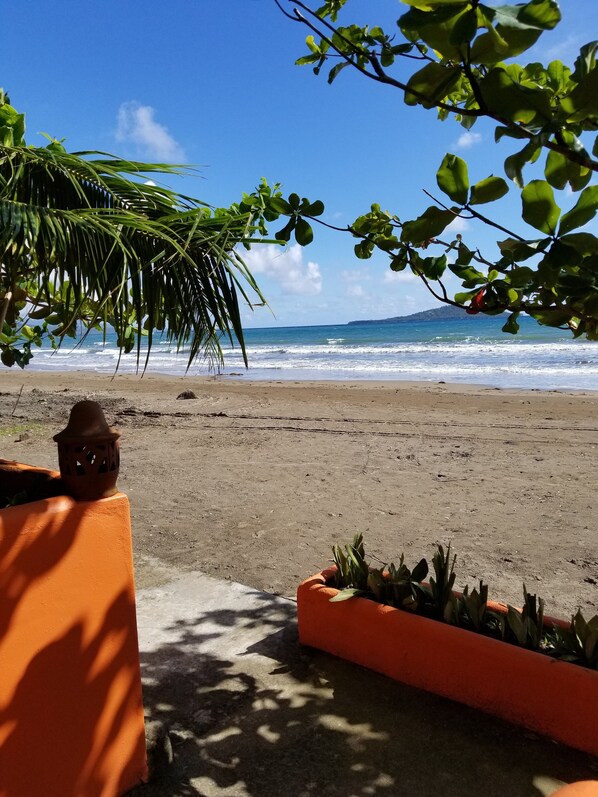 On the beach, sun loungers, beach umbrellas, beach towels