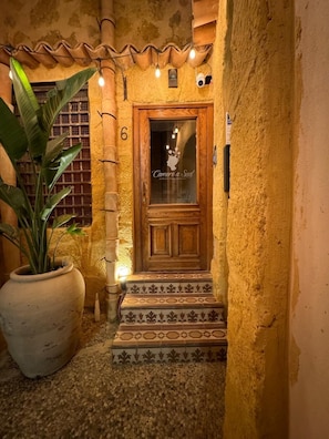 Una puerta de madera con un panel de vidrio, una planta en maceta y un acceso con baldosas.