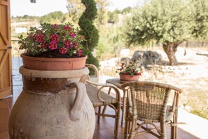 Área da propriedade