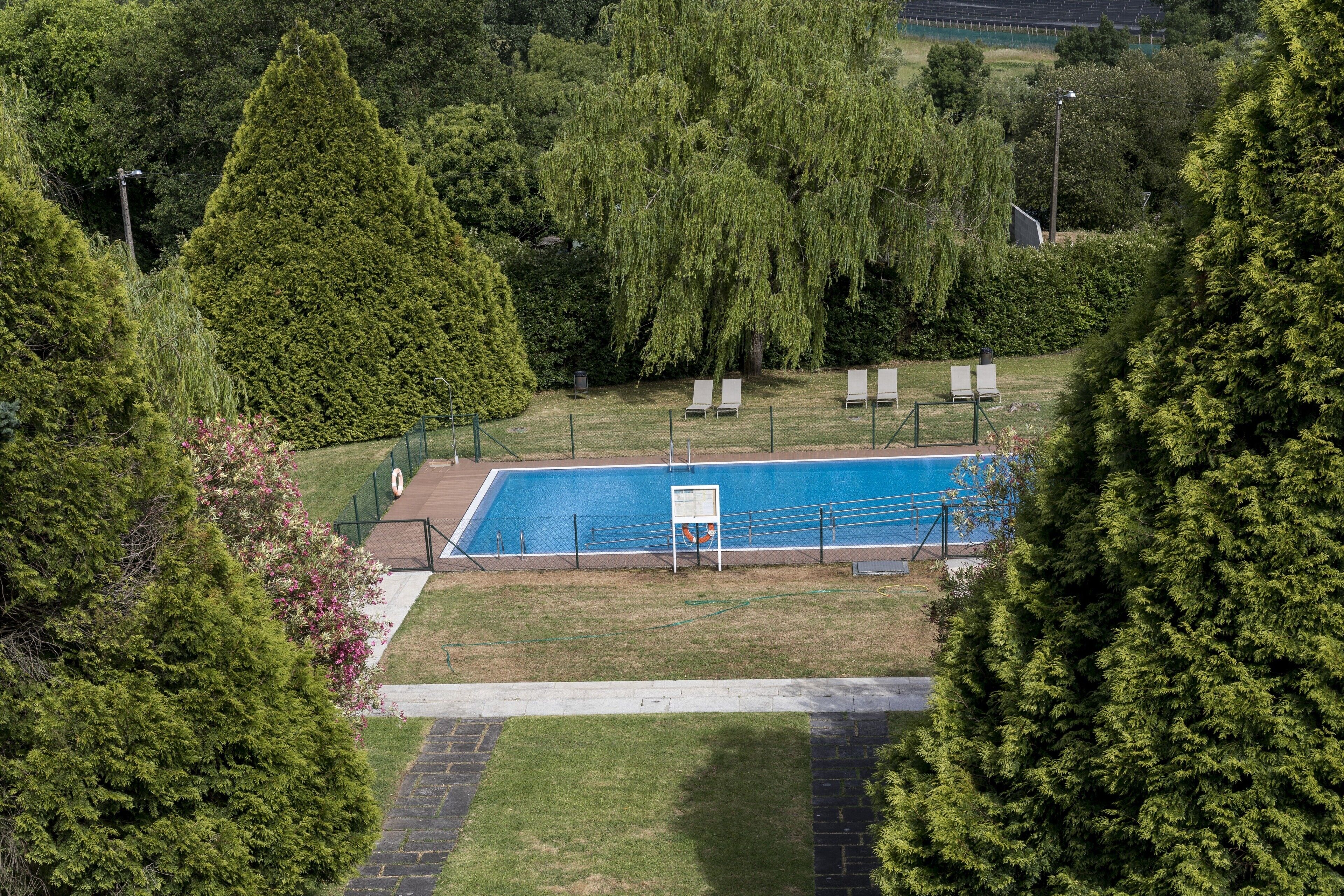 Vista aerea di una piscina circondata da alberi e da un'area verde con lettini.