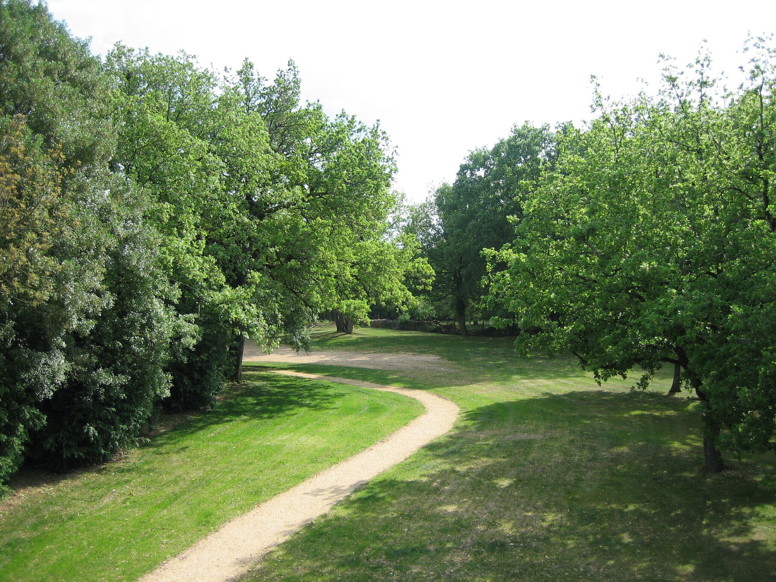 comfort double room | garden view
