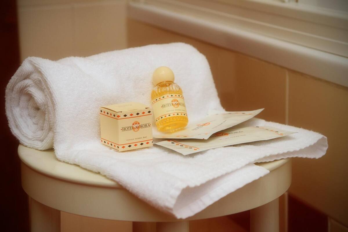 hair dryer, bidet, towels