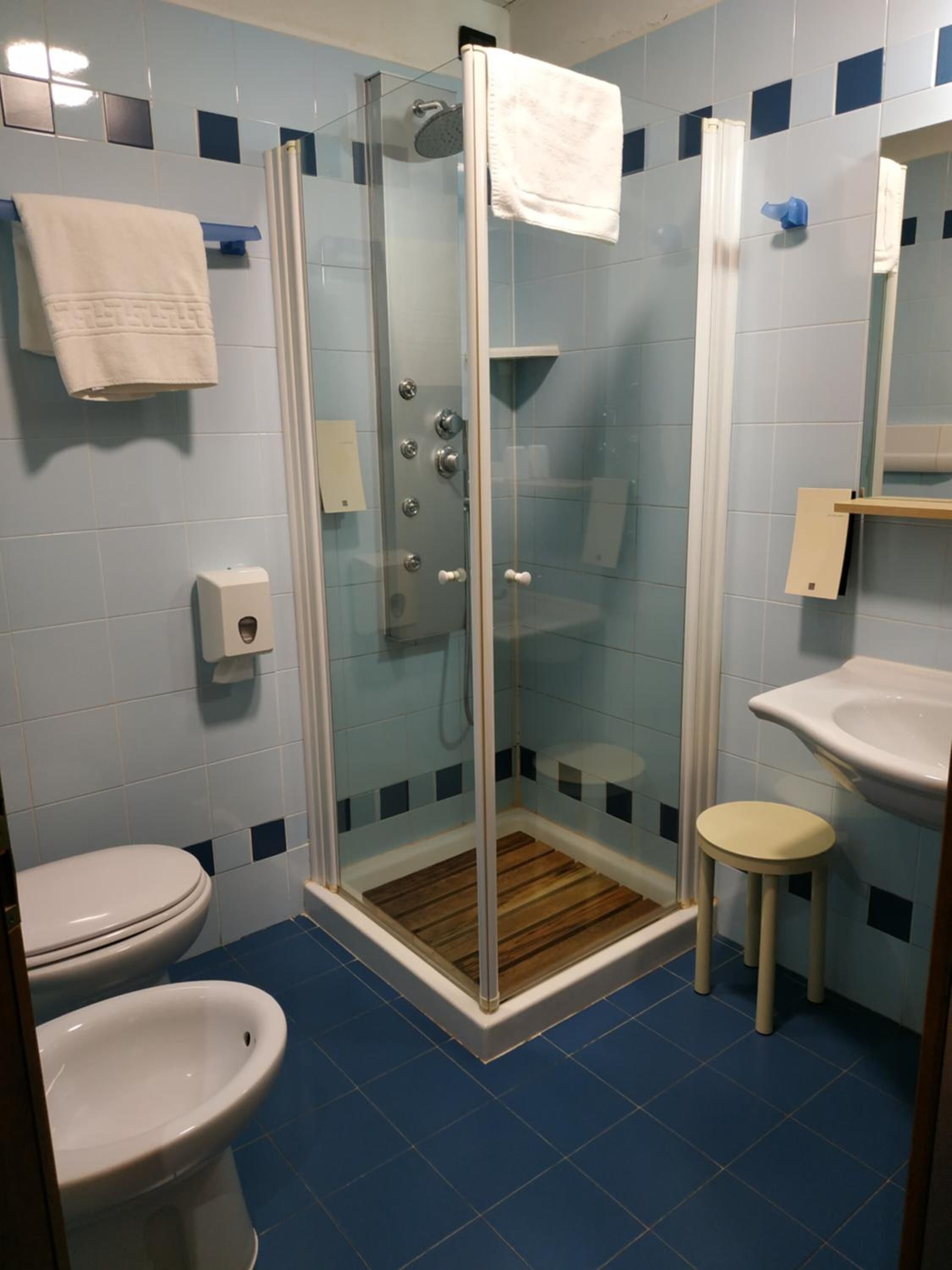 hair dryer, bidet, towels