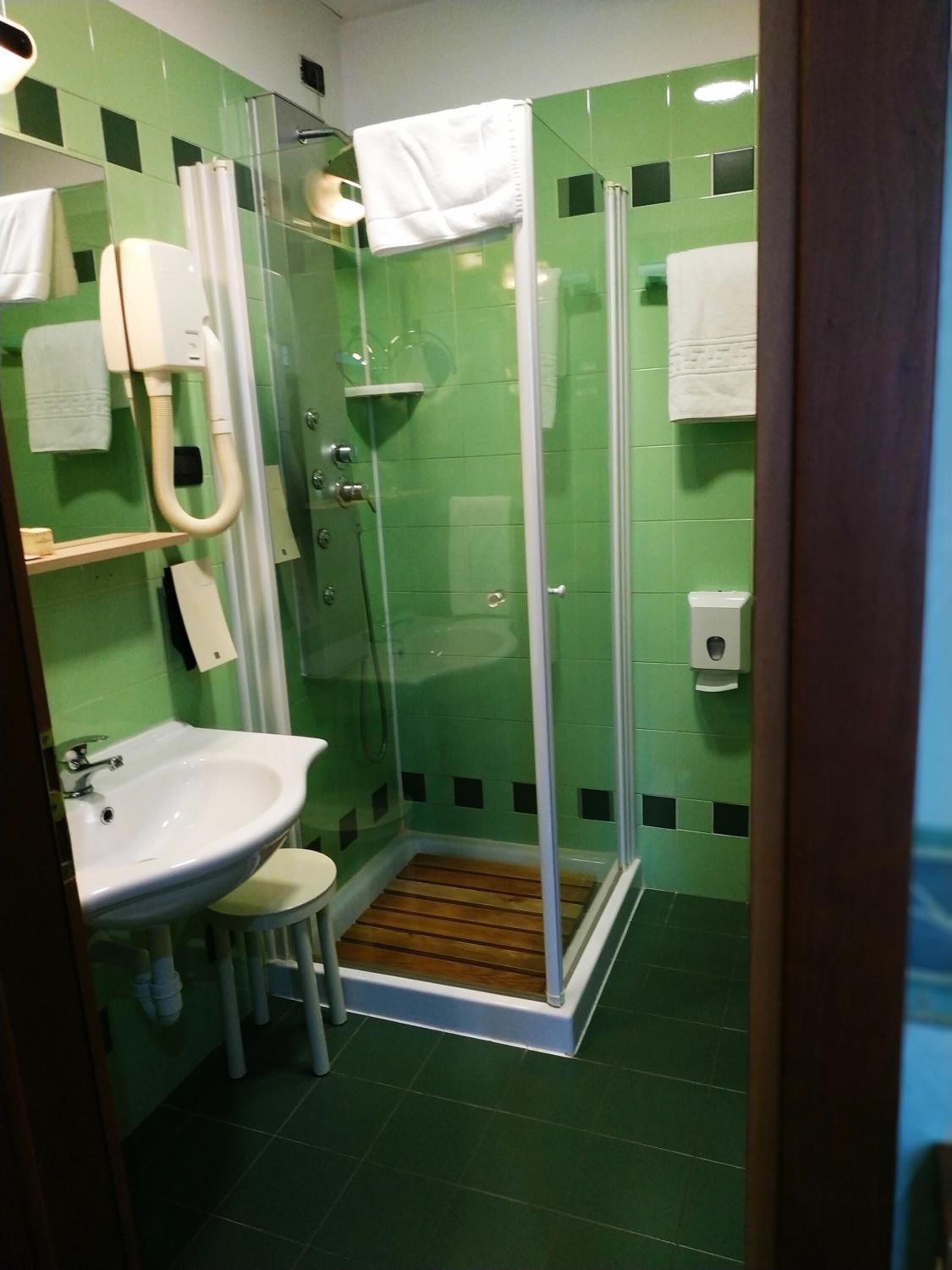 hair dryer, bidet, towels