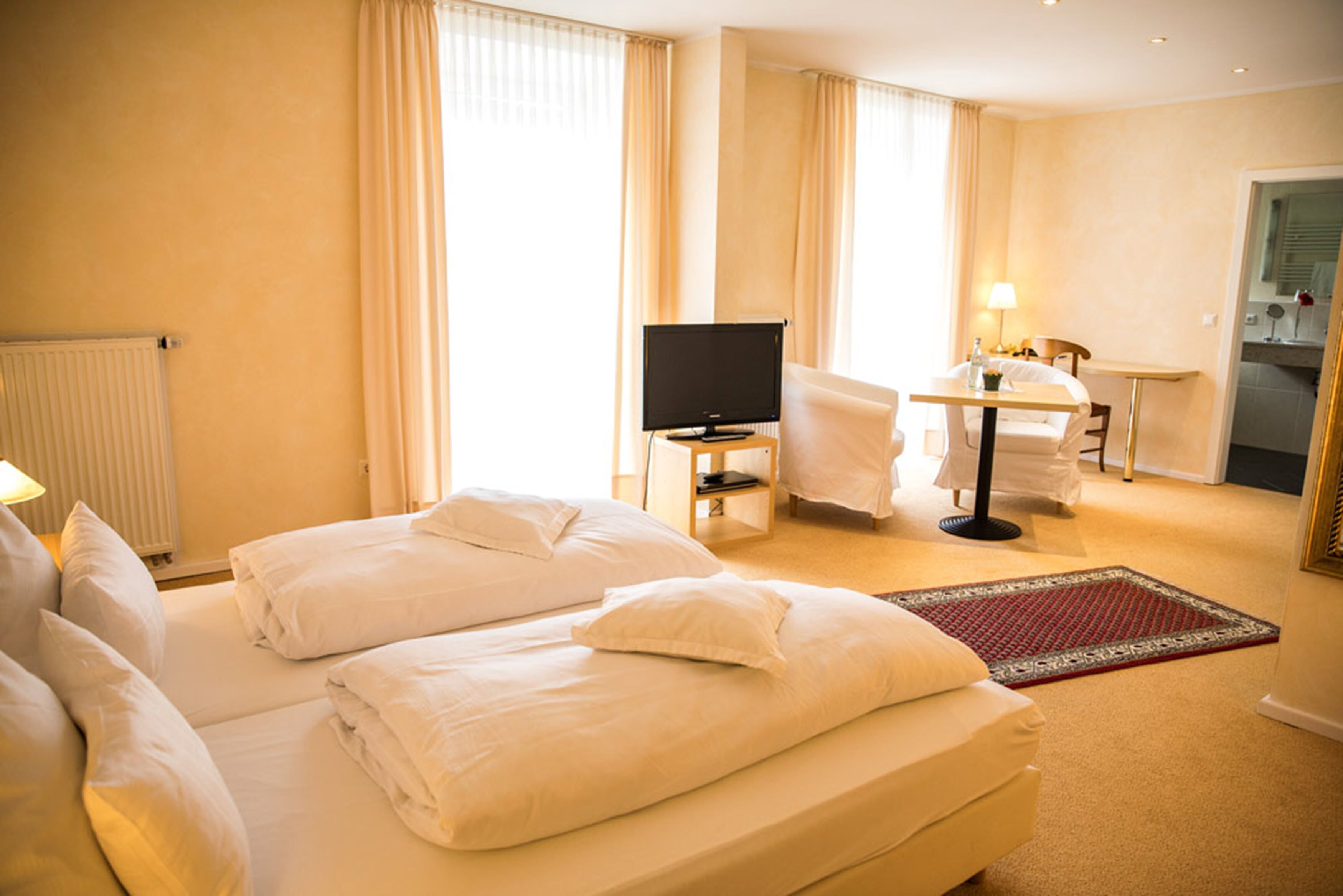 double room | television