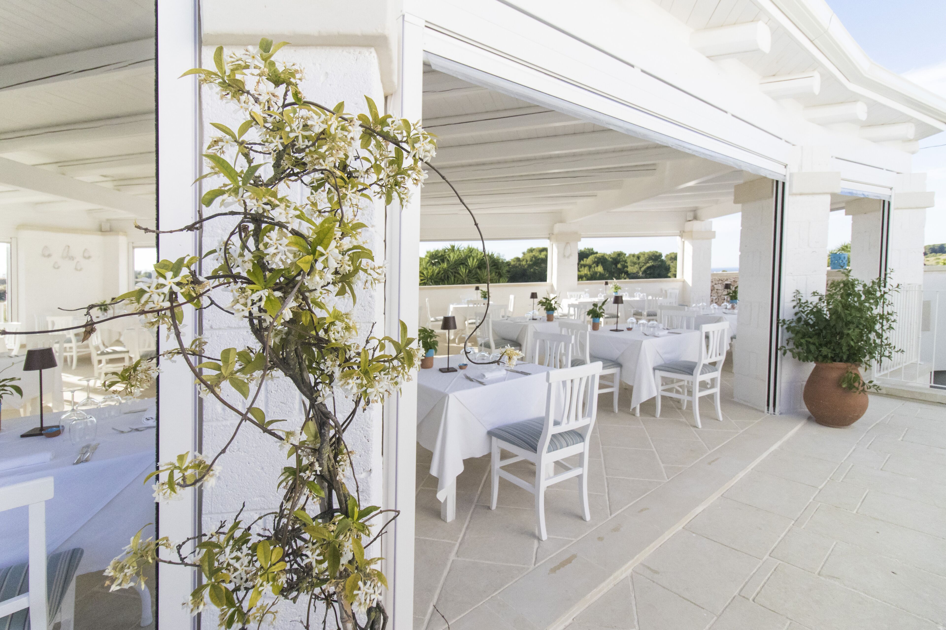 Un espace de restauration en plein air avec des tables et des chaises blanches, une plante en pot et une vue sur le paysage.