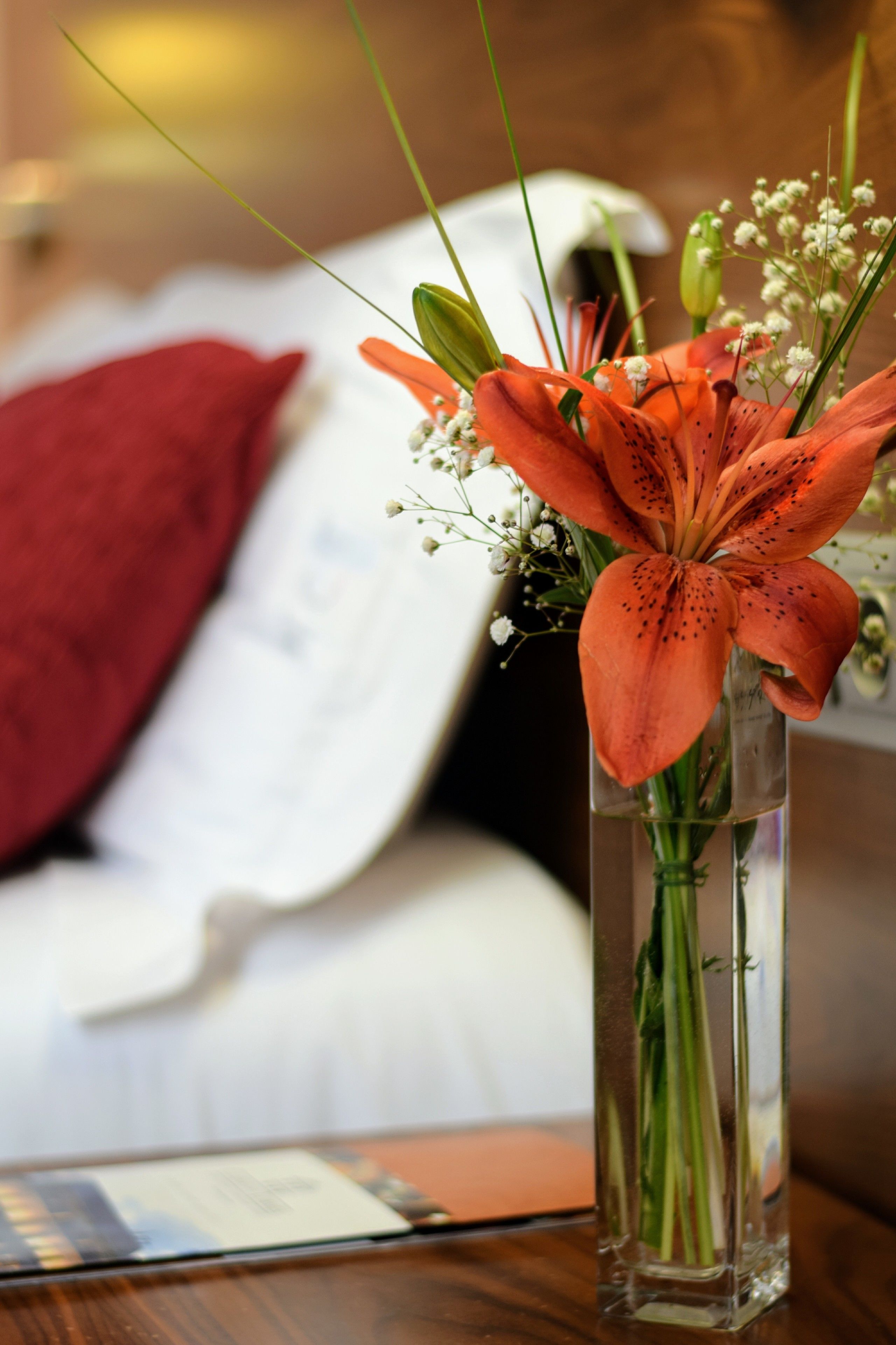 Foto - Hospedium Hotel Casino Del Tormes